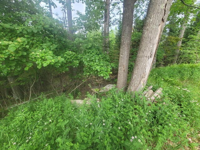 1171 S Black River Rd, Onaway, MI 49765 - photo 13