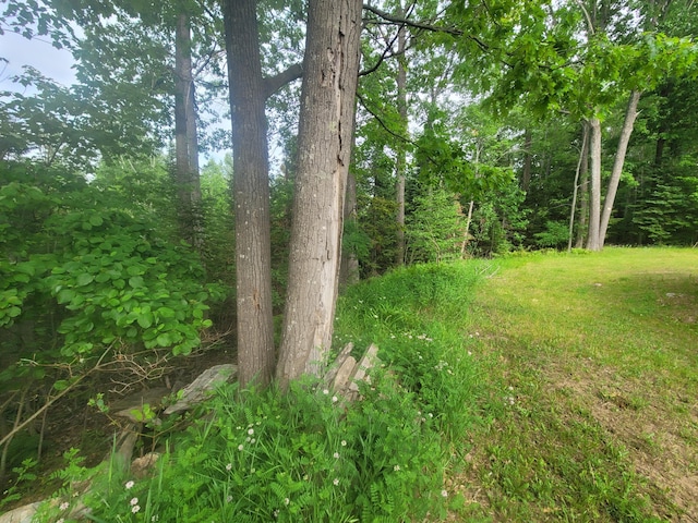 1171 S Black River Rd, Onaway, MI 49765 - photo 14