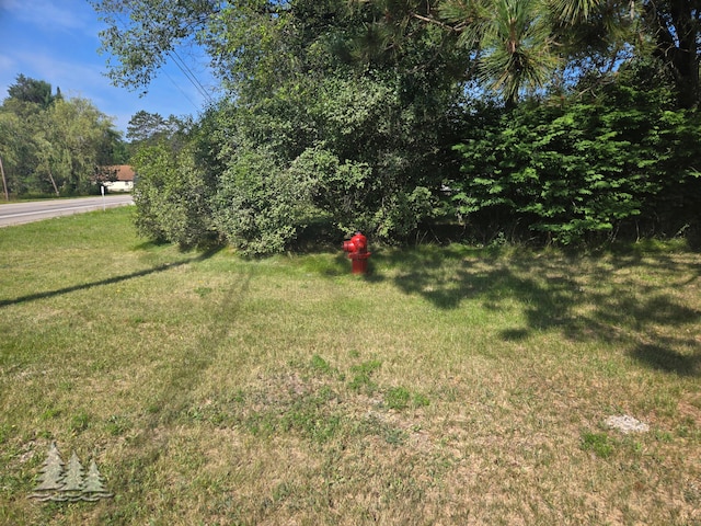 11862 M-32, Atlanta, MI 49709 - photo 21
