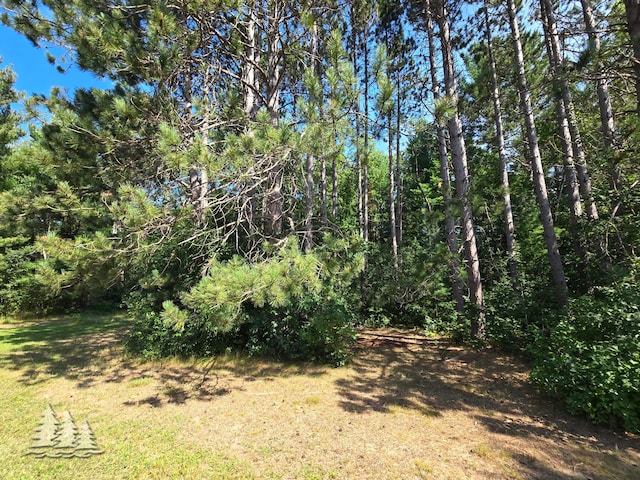 11862 M-32, Atlanta, MI 49709 - photo 24