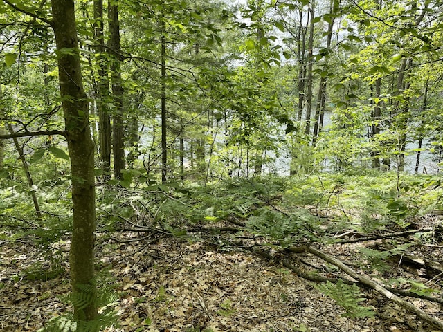 8 Arrowroot Trl, Gaylord, MI 49735