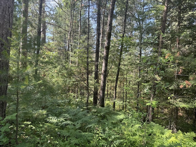 5283 Griffin Rd, Lewiston, MI 49756 - view of wooded area