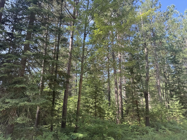 5283 Griffin Rd, Lewiston, MI 49756 - view of wooded area