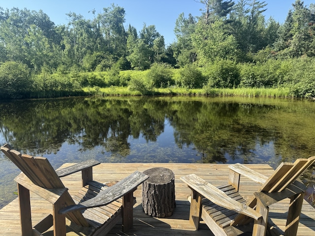 5283 Griffin Rd, Lewiston, MI 49756 - dock with a water view