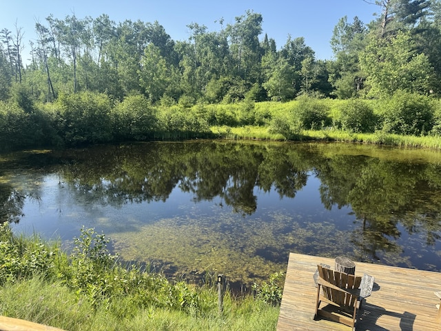 5283 Griffin Rd, Lewiston, MI 49756 - water view