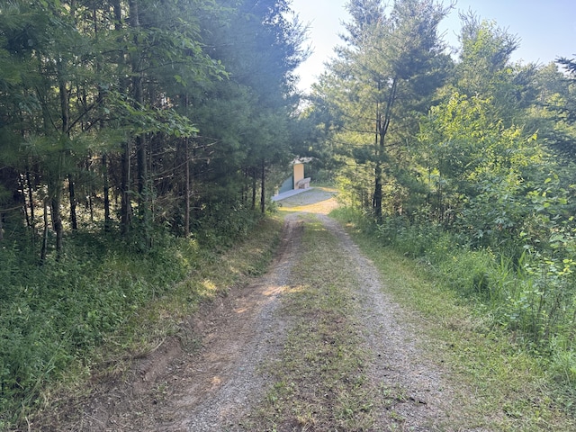 5283 Griffin Rd, Lewiston, MI 49756 - view of road with a view of trees