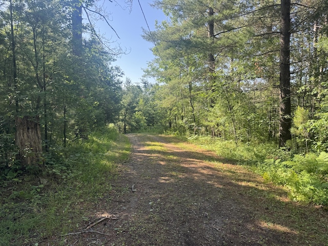 5283 Griffin Rd, Lewiston, MI 49756 - view of dirt / gravel road featuring a view of trees