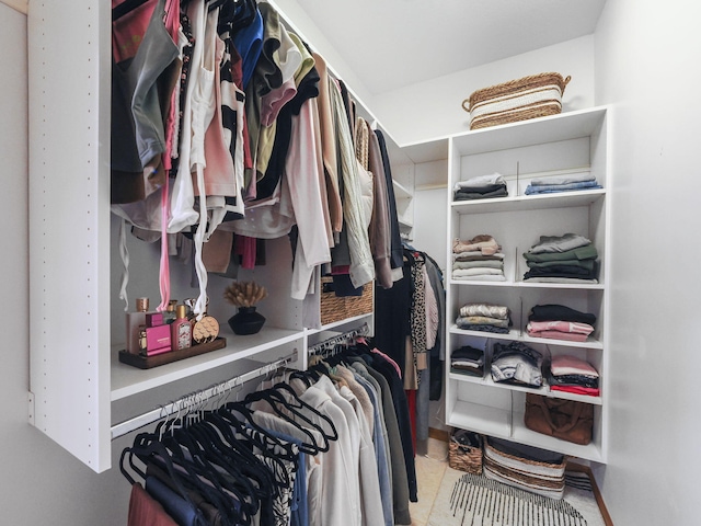 6552 High Trees Ct, Gaylord, MI 49735 - view of spacious closet