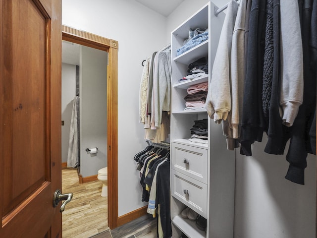 6552 High Trees Ct, Gaylord, MI 49735 - walk in closet featuring light wood-type flooring