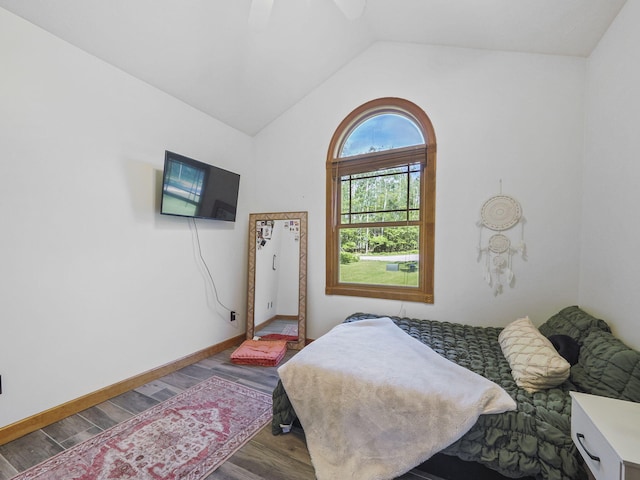 6552 High Trees Ct, Gaylord, MI 49735 - bedroom with wood finished floors, lofted ceiling, and a ceiling fan