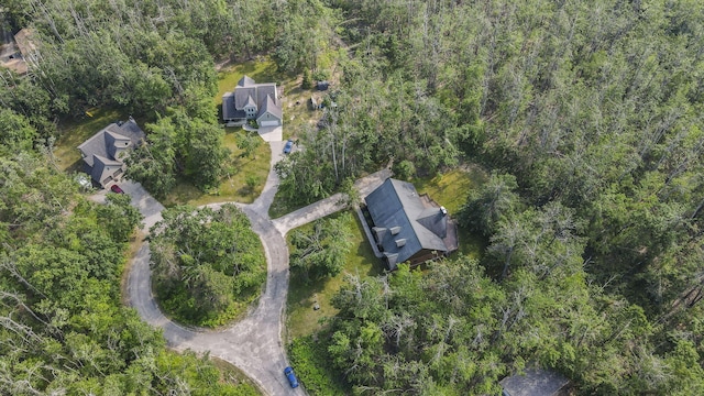 6552 High Trees Ct, Gaylord, MI 49735 - aerial view of property's location