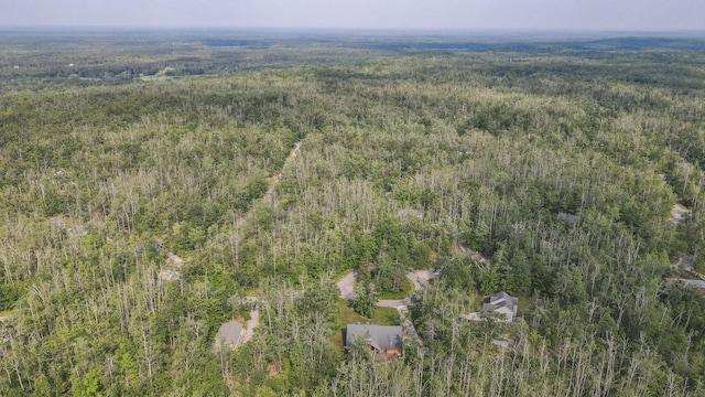 6552 High Trees Ct, Gaylord, MI 49735 - aerial view of a heavily wooded area