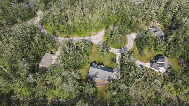 6552 High Trees Ct, Gaylord, MI 49735 - aerial view