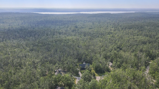 6552 High Trees Ct, Gaylord, MI 49735 - view of property location featuring a forest