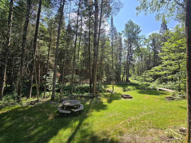 899 Bills Rd, Mio, MI 48647 - view of grassy yard with a view of trees and an outdoor fire pit