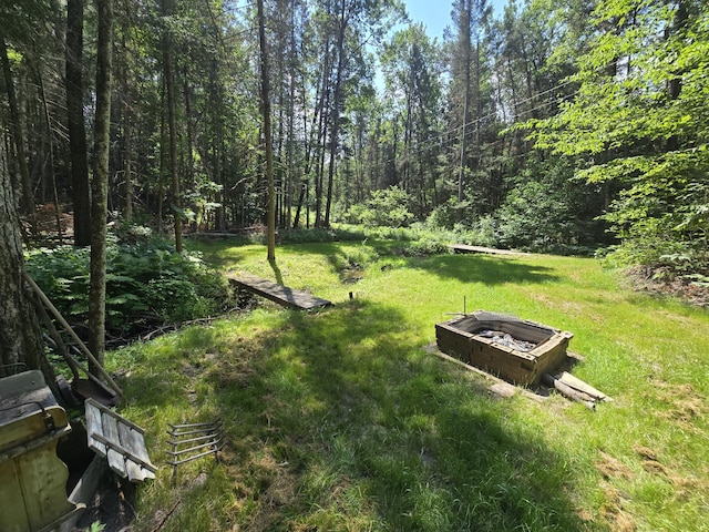 899 Bills Rd, Mio, MI 48647 - view of grassy yard featuring a view of trees