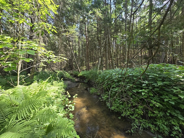 899 Bills Rd, Mio, MI 48647 - view of local wilderness