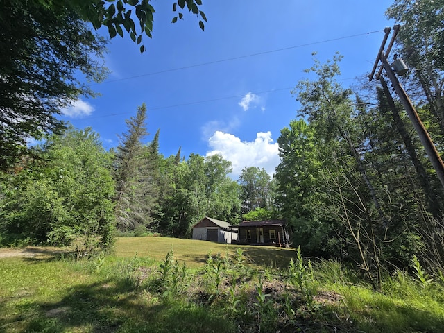 899 Bills Rd, Mio, MI 48647 - view of yard featuring a wooded view