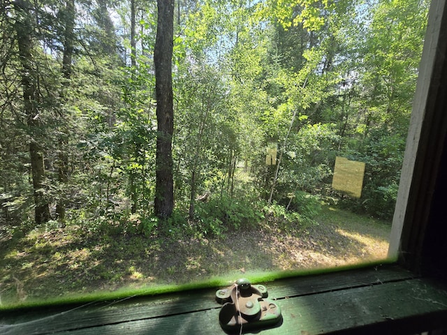 899 Bills Rd, Mio, MI 48647 - detailed view of a forest
