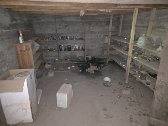 899 Bills Rd, Mio, MI 48647 - view of unfinished below grade area