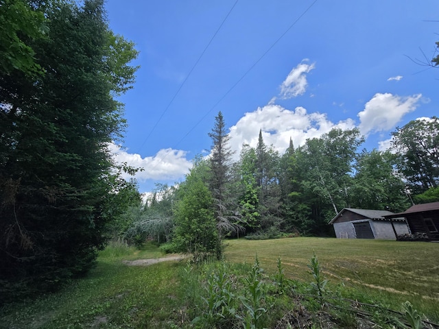 899 Bills Rd, Mio, MI 48647 - view of green lawn featuring a garage