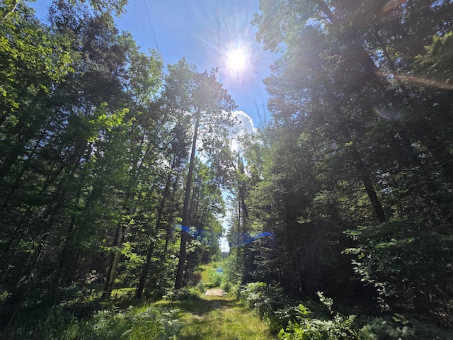 899 Bills Rd, Mio, MI 48647 - view of nature