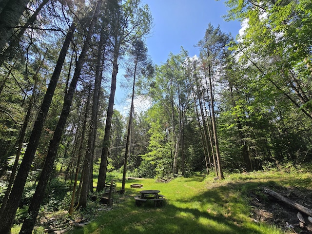 899 Bills Rd, Mio, MI 48647 - view of nature