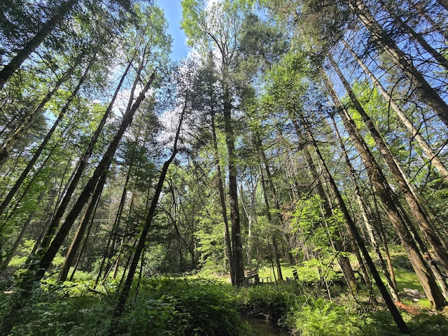 899 Bills Rd, Mio, MI 48647 - view of nature