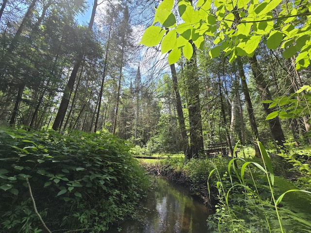 899 Bills Rd, Mio, MI 48647 - view of nature
