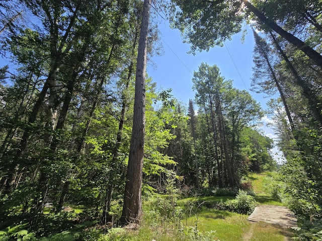 899 Bills Rd, Mio, MI 48647 - view of tree filled area