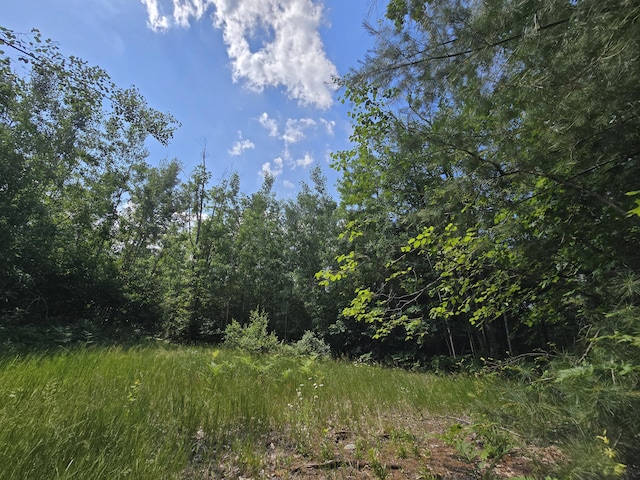 899 Bills Rd, Mio, MI 48647 - view of wooded area