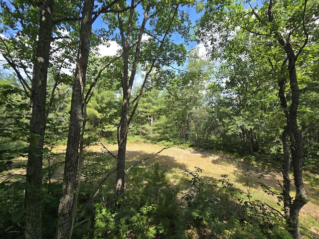 899 Bills Rd, Mio, MI 48647 - view of nature