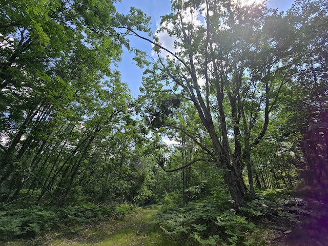 899 Bills Rd, Mio, MI 48647 - view of undeveloped land