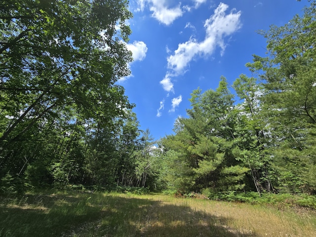 899 Bills Rd, Mio, MI 48647 - view of tree filled area