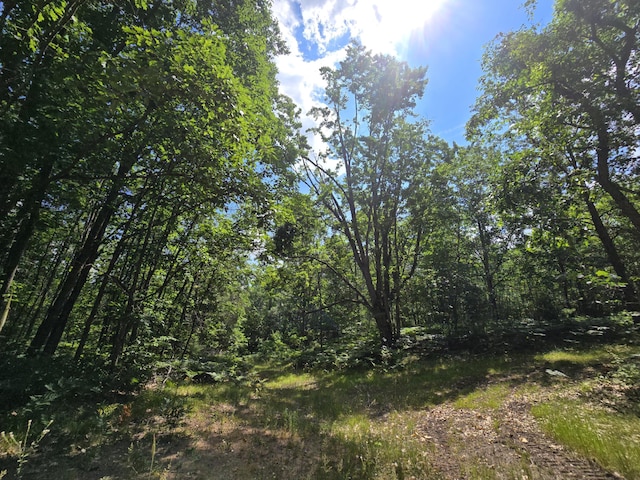 899 Bills Rd, Mio, MI 48647 - view of undeveloped land