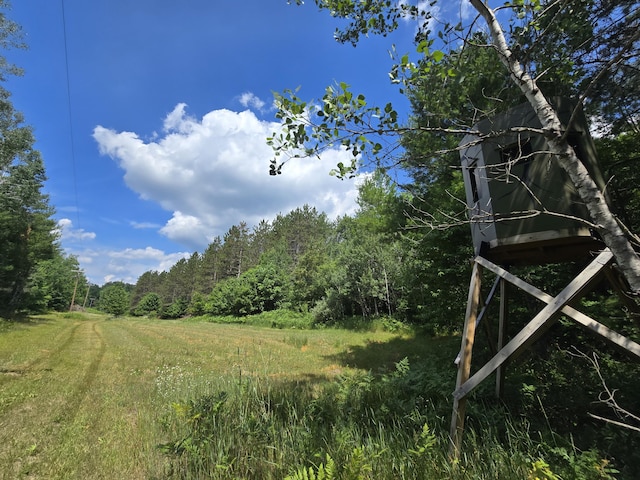 899 Bills Rd, Mio, MI 48647 - view of tree filled area