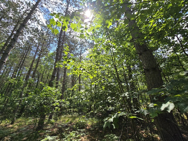 899 Bills Rd, Mio, MI 48647 - view of nature