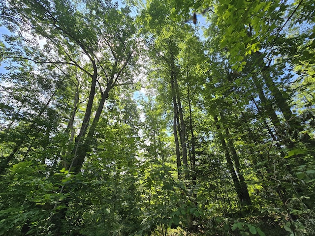 899 Bills Rd, Mio, MI 48647 - view of undeveloped land