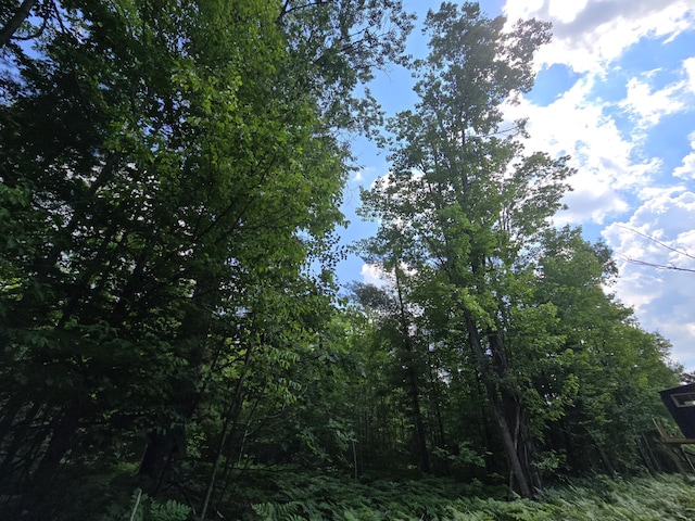 899 Bills Rd, Mio, MI 48647 - view of nature