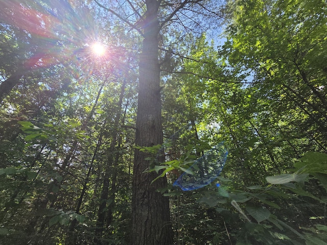 899 Bills Rd, Mio, MI 48647 - view of undeveloped land