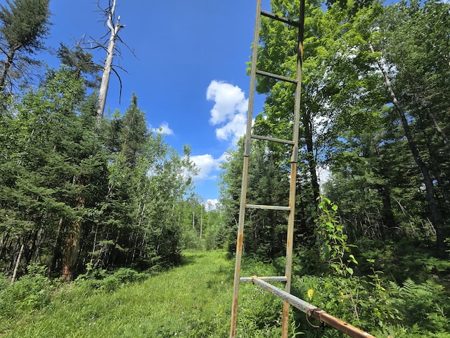 899 Bills Rd, Mio, MI 48647 - view of yard with a view of trees