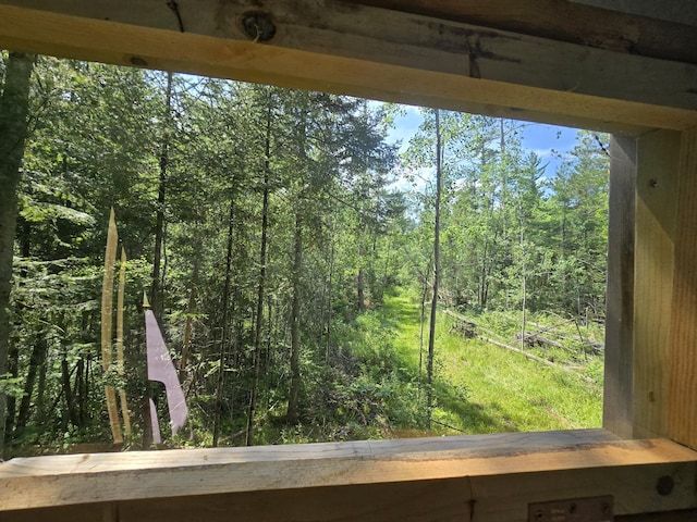 899 Bills Rd, Mio, MI 48647 - detailed view of a forest