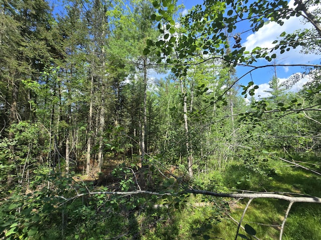 899 Bills Rd, Mio, MI 48647 - view of tree filled area