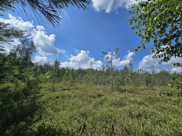899 Bills Rd, Mio, MI 48647 - view of wooded area