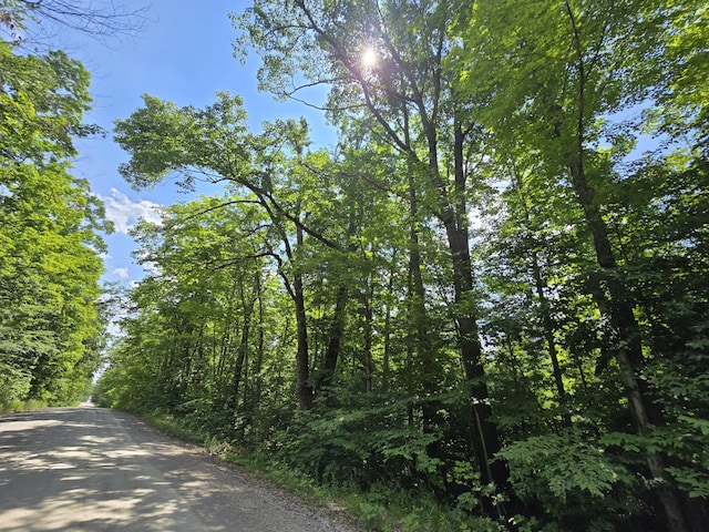 899 Bills Rd, Mio, MI 48647 - view of asphalt road