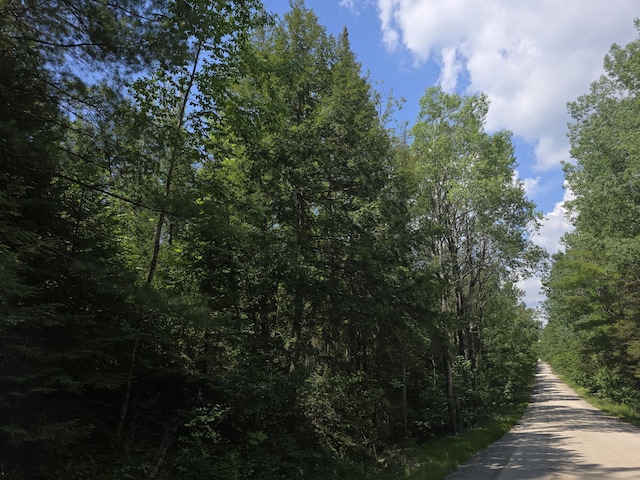 899 Bills Rd, Mio, MI 48647 - view of street featuring a view of trees