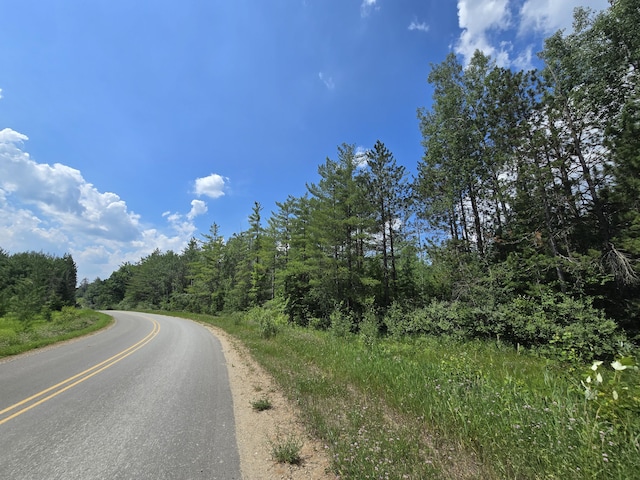 899 Bills Rd, Mio, MI 48647 - view of asphalt street with a view of trees