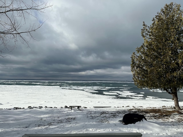 7314 N Point Shrs, Alpena, MI 49707 - photo 57