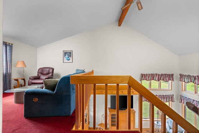 2829 Kassuba Rd, Gaylord, MI 49735 - living area with carpet floors