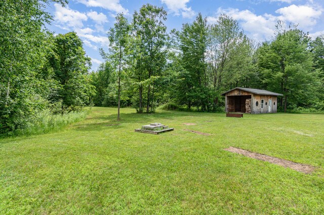 1035 Van Dyke Rd, Beaverton, MI 48612 - photo 30